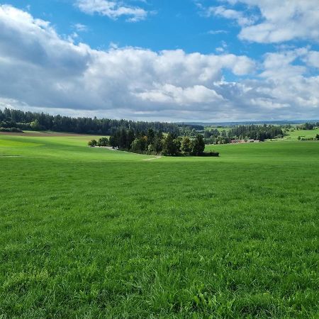 Modern Eingerichtete 3-Zi-Ferienwohnung Zu Vermieten Löffingen Esterno foto