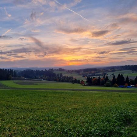 Modern Eingerichtete 3-Zi-Ferienwohnung Zu Vermieten Löffingen Esterno foto