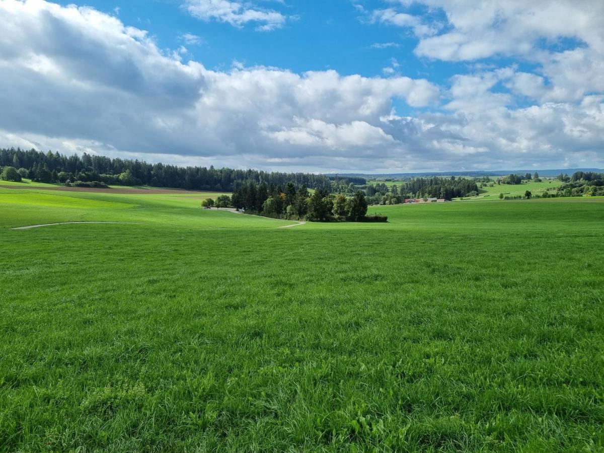 Modern Eingerichtete 3-Zi-Ferienwohnung Zu Vermieten Löffingen Esterno foto